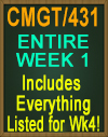 CMGT/431 Week 1 uCertify Labs
